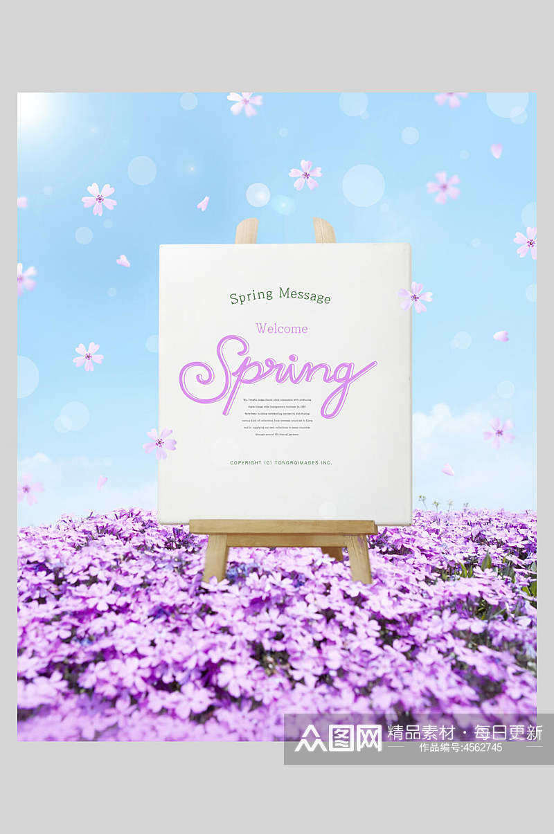 紫色春天花朵海报素材