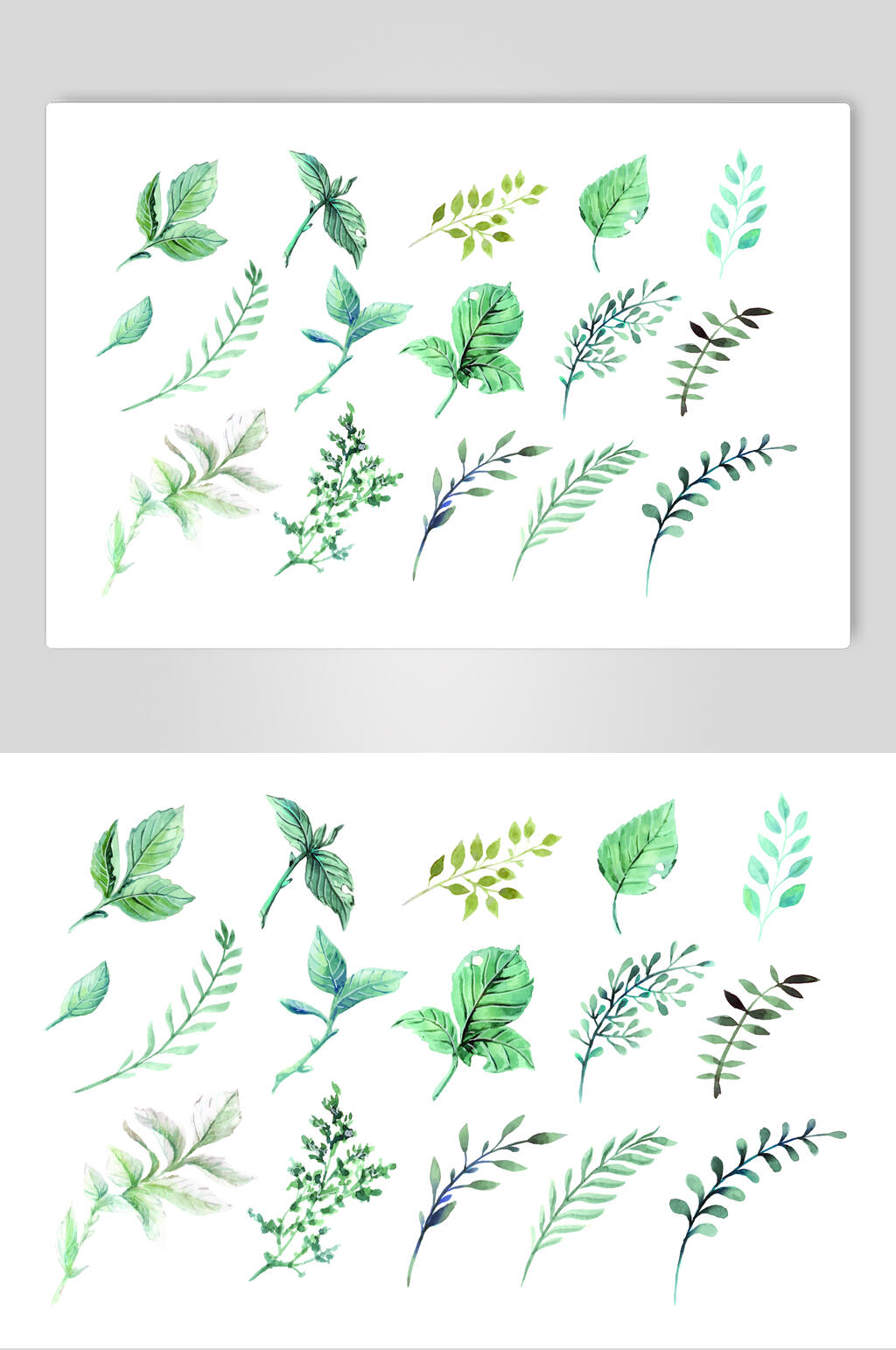植物树叶叶子矢量素材素材