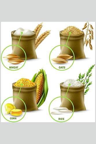 玉米水稻大米矢量素材