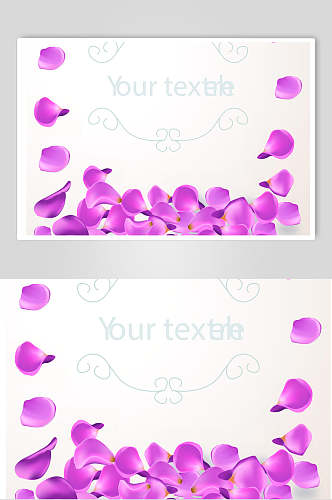 紫色花瓣矢量素材