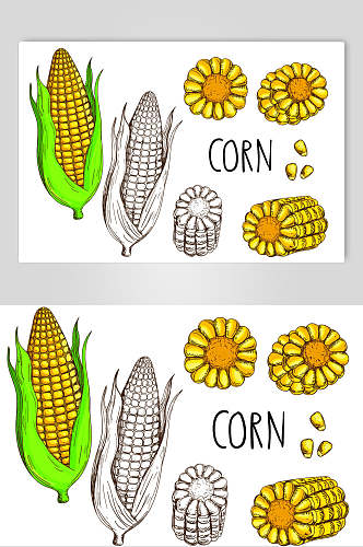 手绘卡通玉米矢量素材