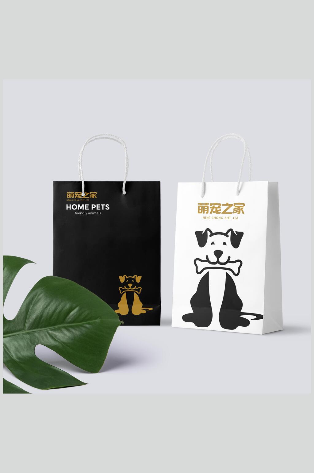纸带宠物品牌样机素材