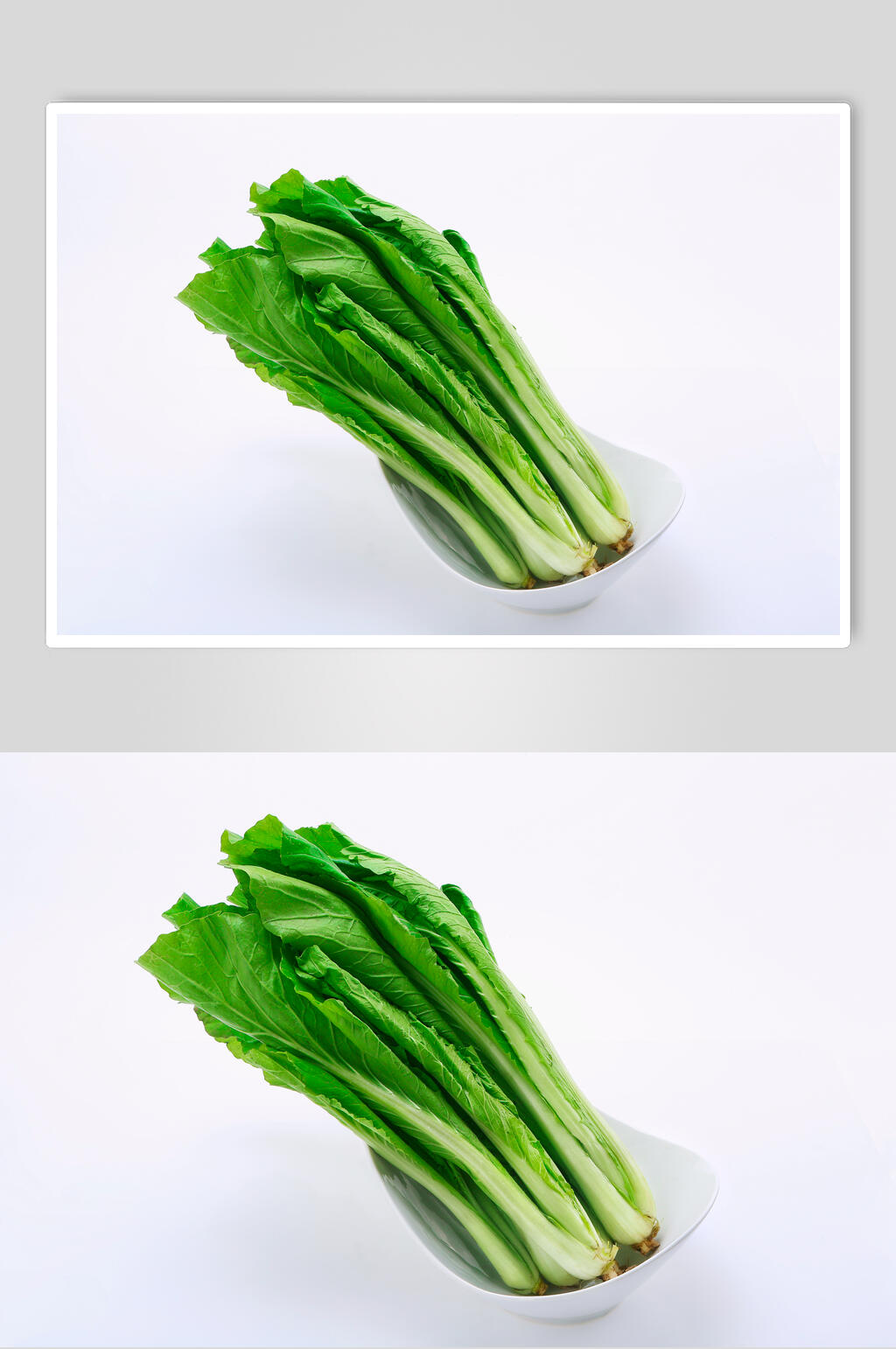油麦菜青菜食物高清图片素材