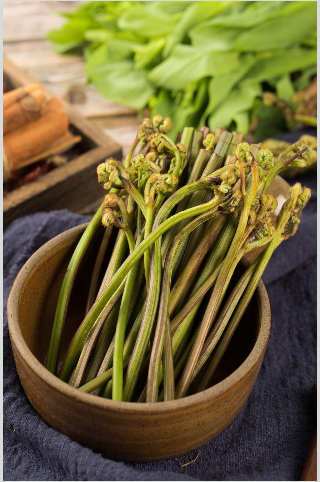 蕨菜蔬菜食材高清图片素材