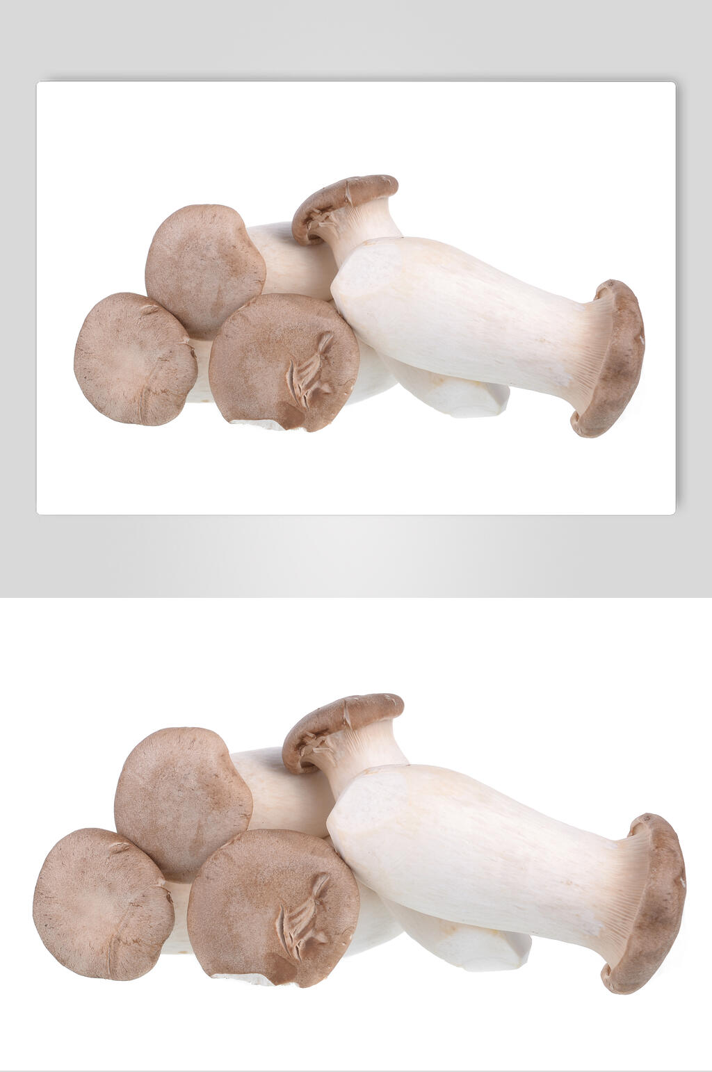 精品杏鲍菇高清图片素材