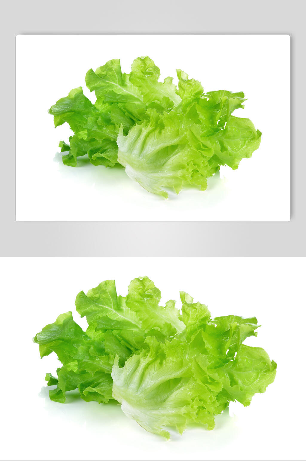有机生菜高清图片素材
