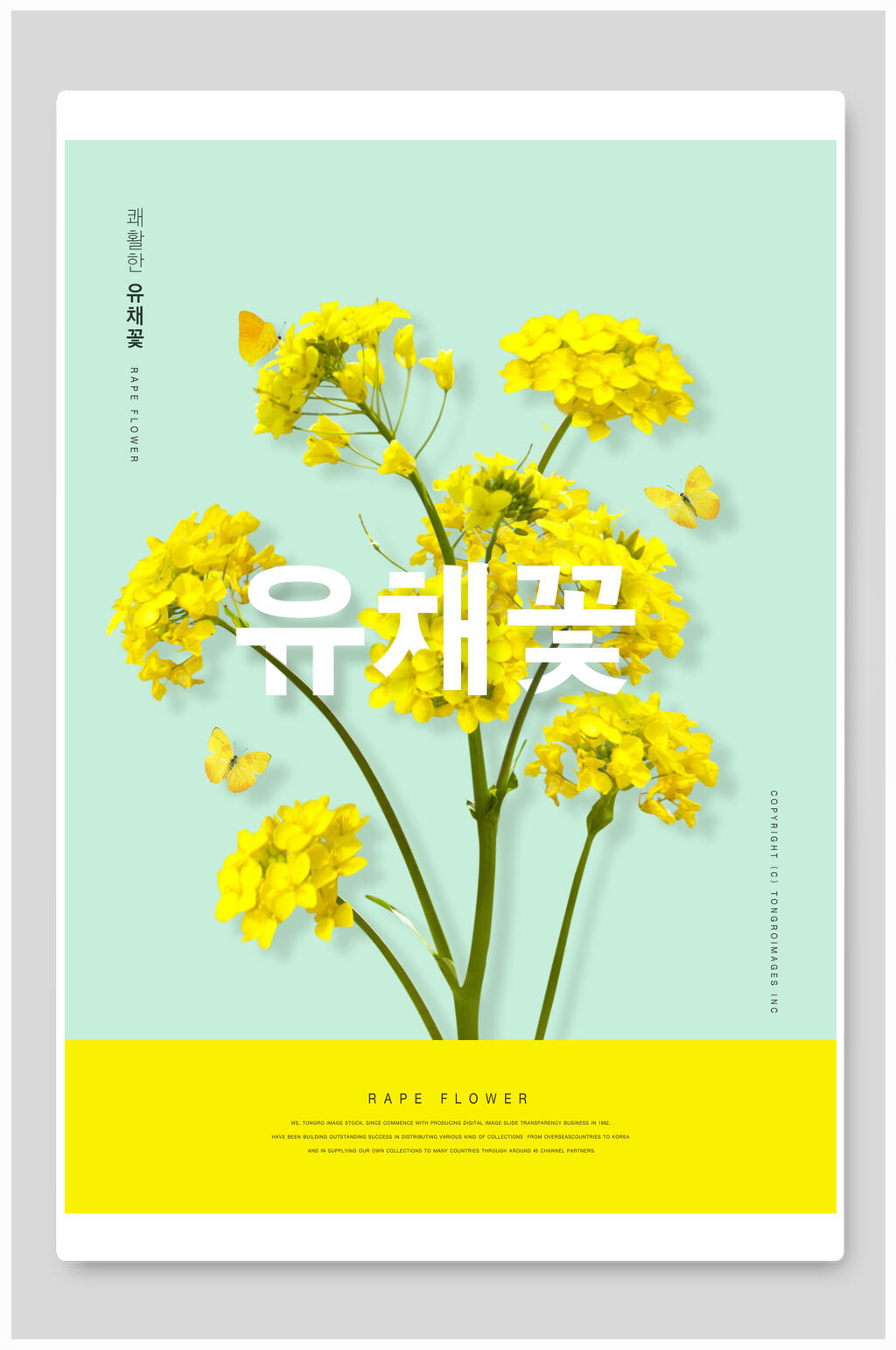 韩文植物花草海报素材
