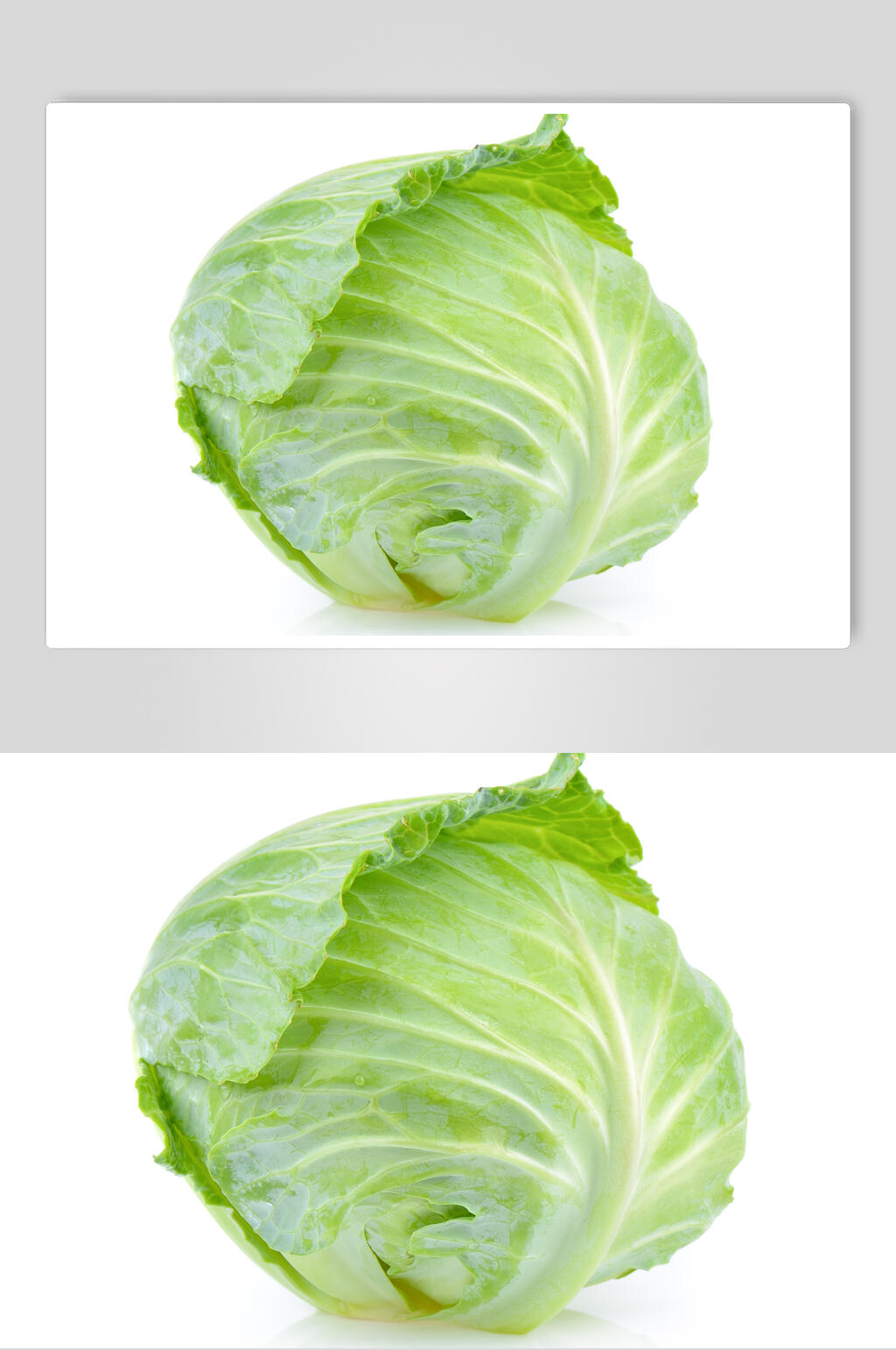 白底包菜高清图片素材