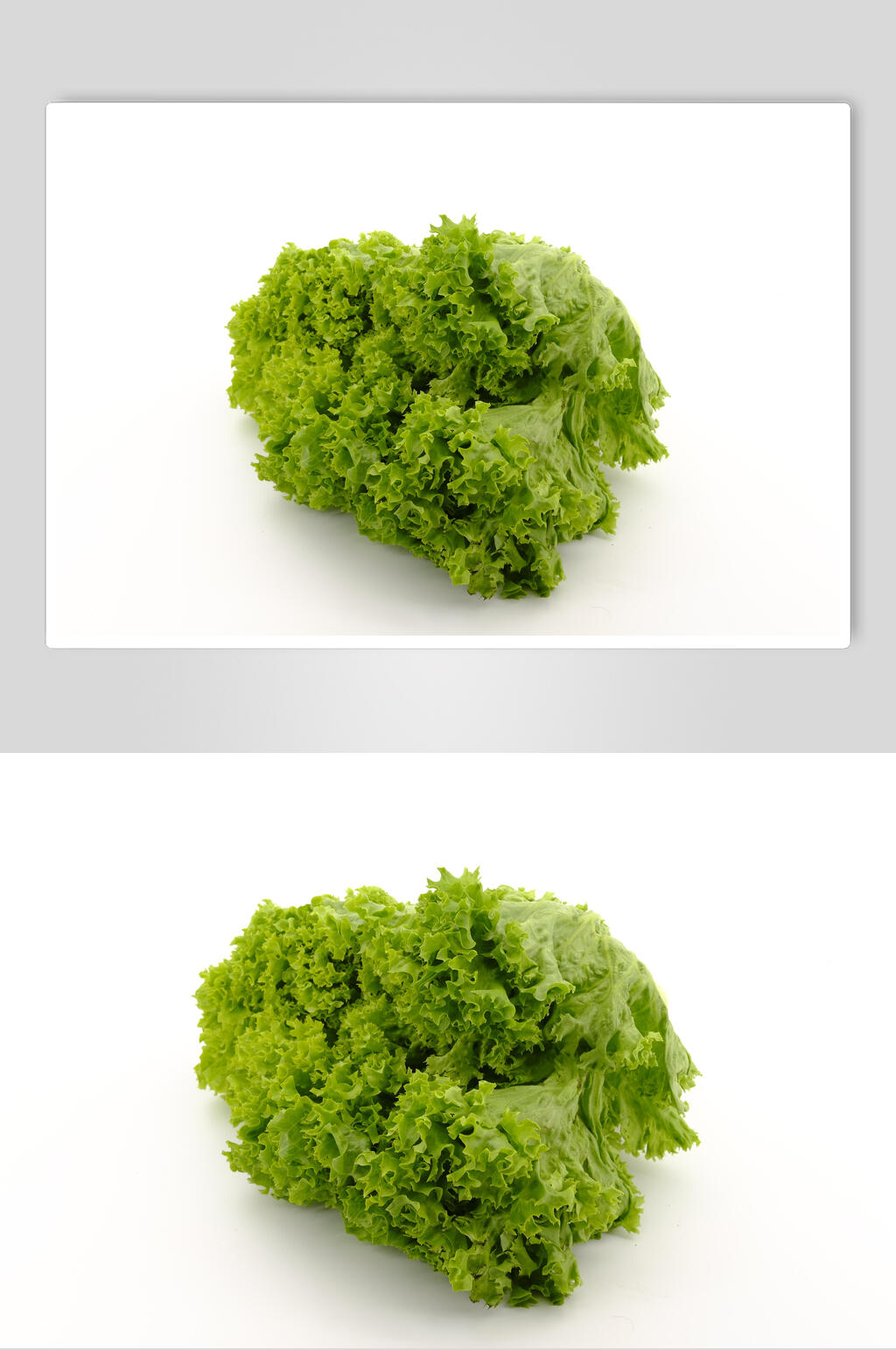 生菜食物高清图片素材