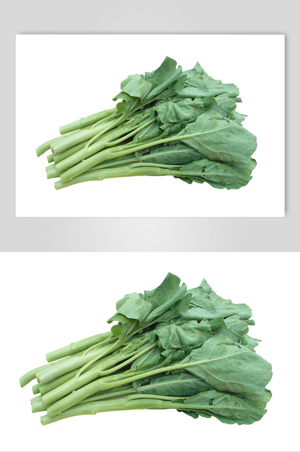 芥蓝食物高清图片素材