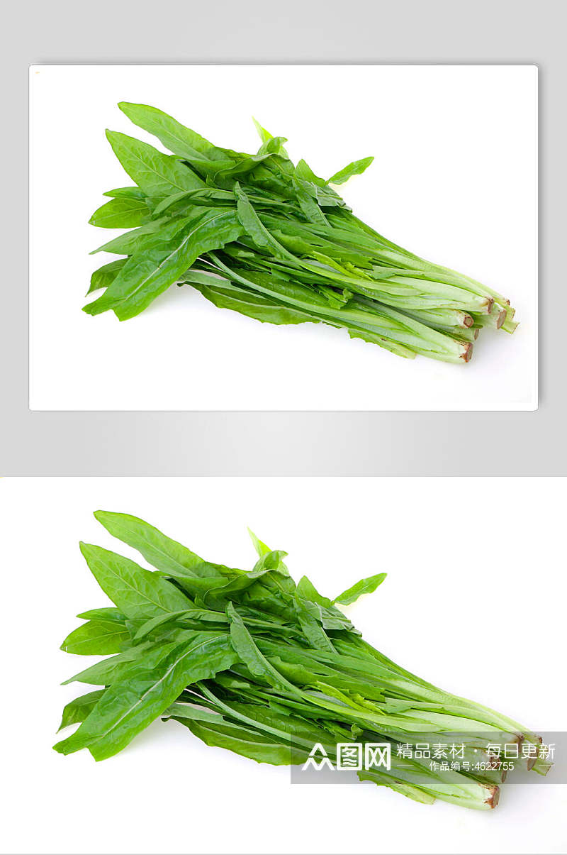 新鲜油麦菜青菜食物高清图片素材