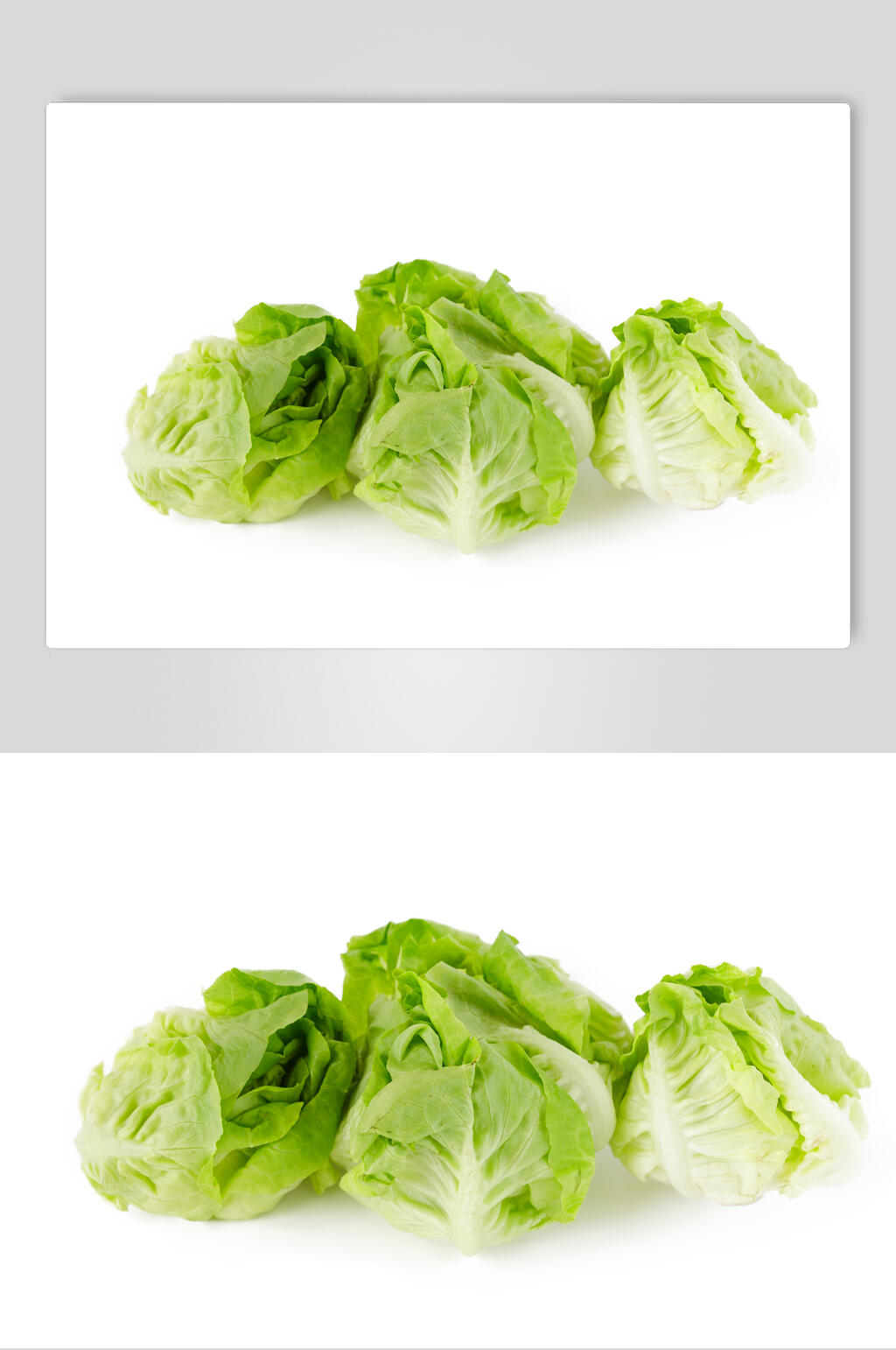 精品生菜食物高清图片素材