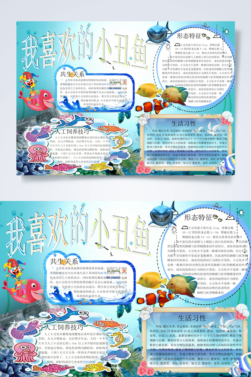 我喜欢的小丑鱼简约可爱的小丑鱼小报WORD素材