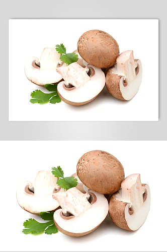 新鲜香菇高清图片