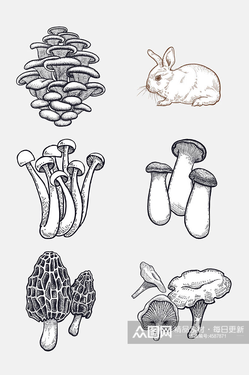 菌子手绘农场动物免抠素材素材