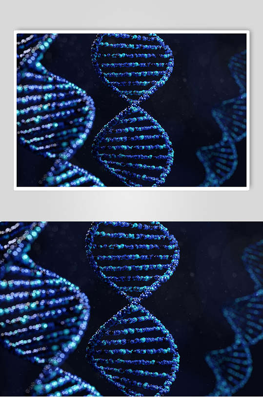 蓝色的高清dna高清图片