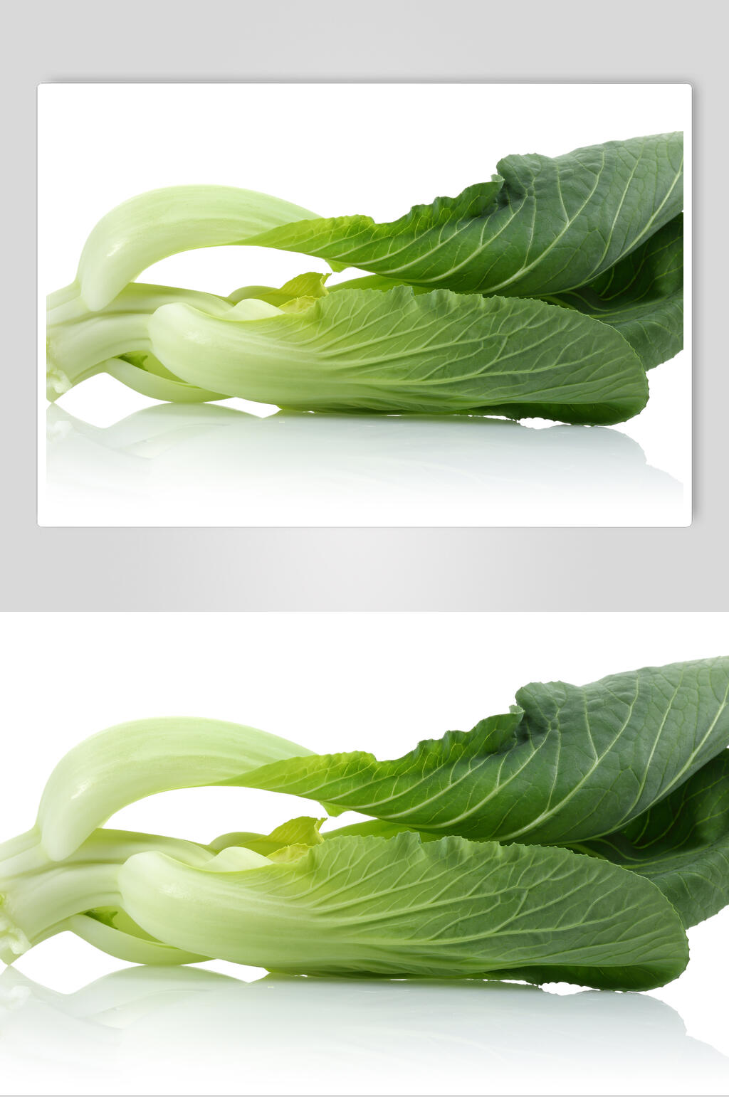 上海青食物高清图片素材