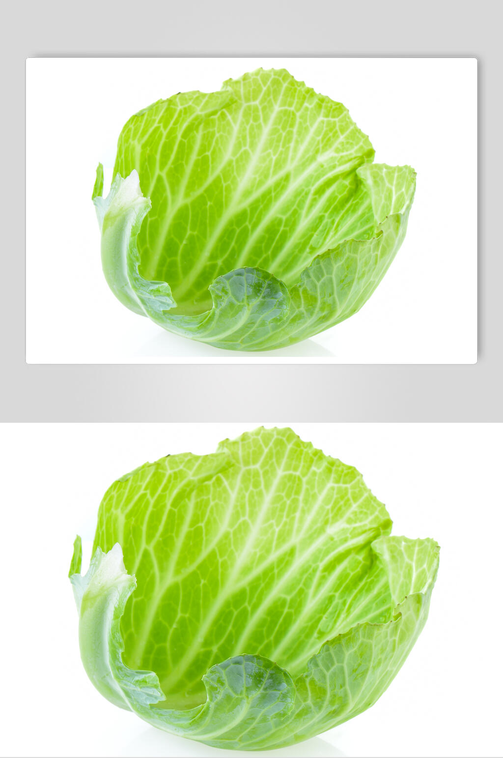 精品包菜高清图片素材