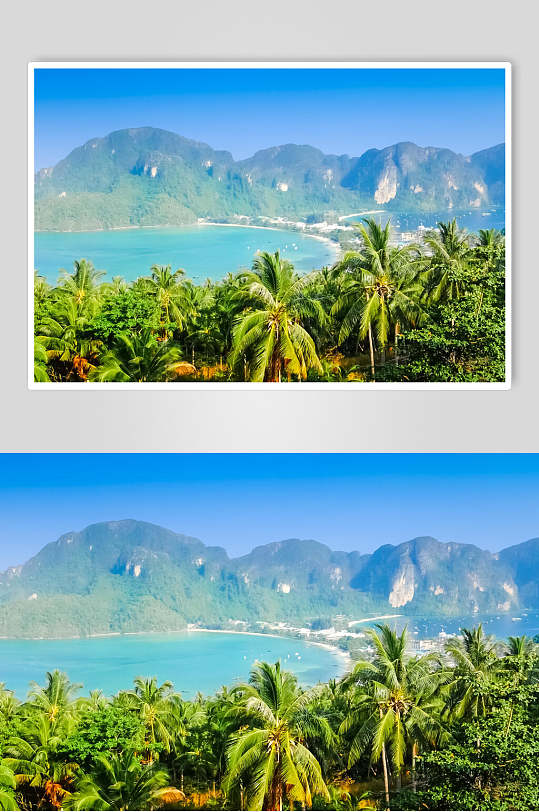 热带深林森林风景背景图