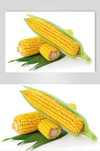 创意新鲜有机食品玉米
