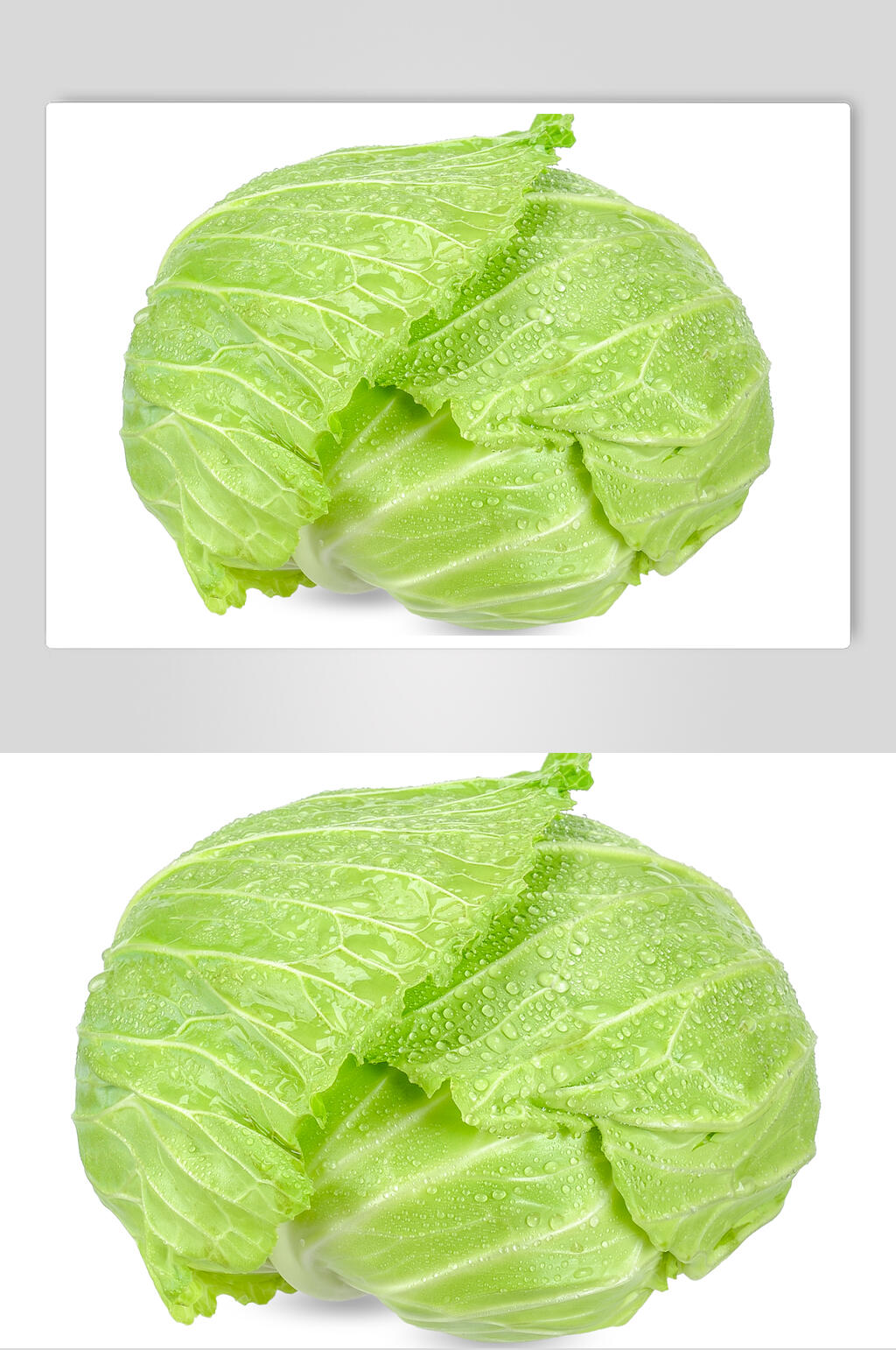 包菜高清图片素材