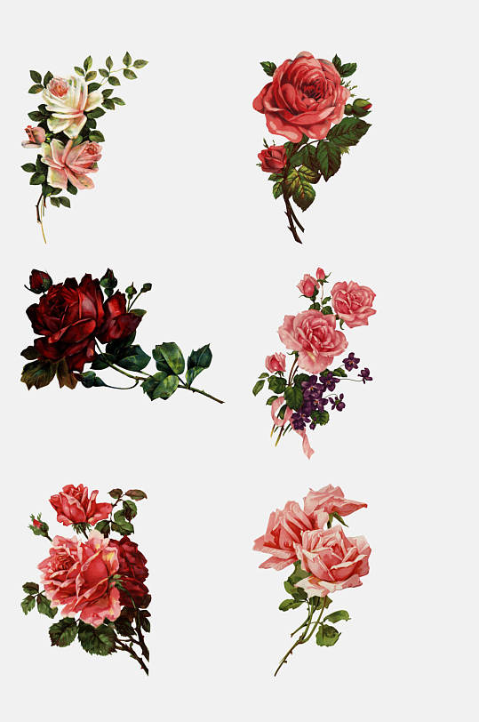 时尚手绘玫瑰花图片 时尚手绘玫瑰花素材下载 众图网