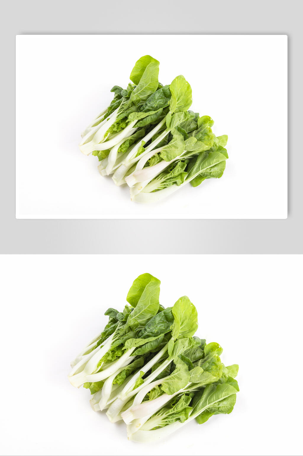 小白菜青菜食物高清图片素材