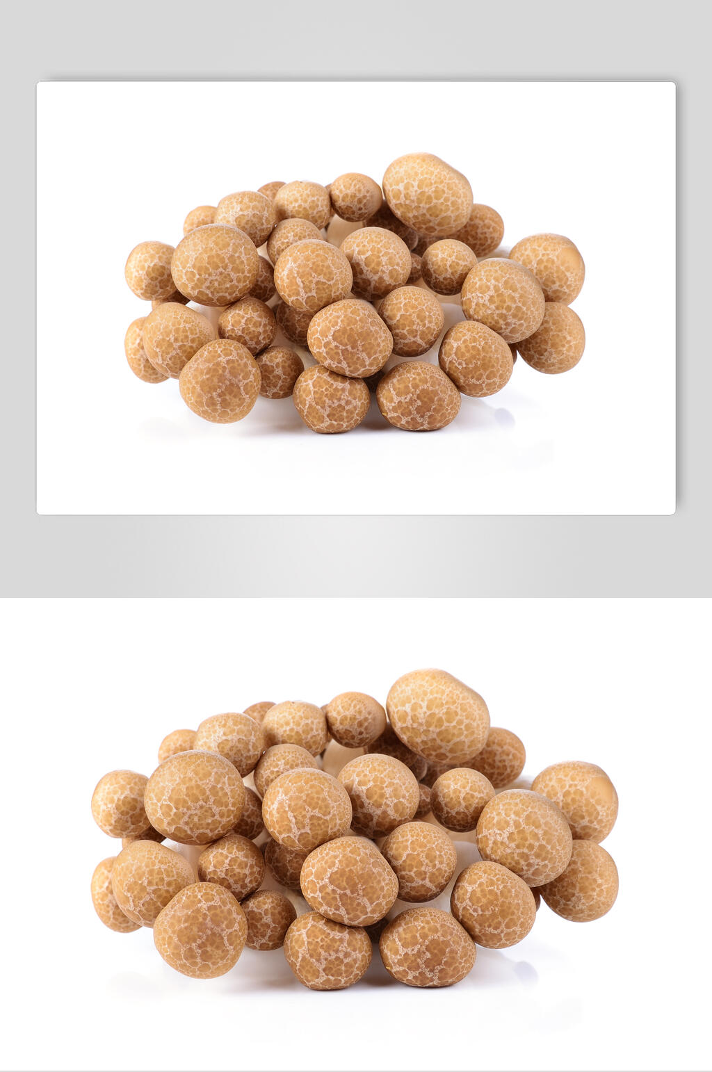 精品蘑菇食物高清图片素材