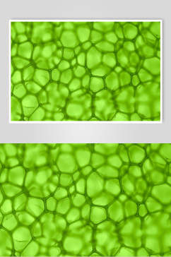 绿色几何微生物分子图片