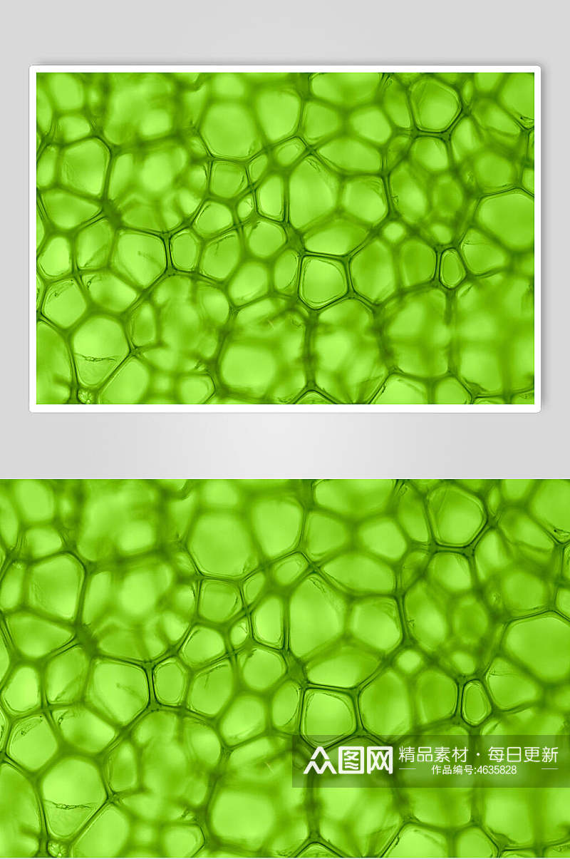 绿色几何微生物分子图片素材