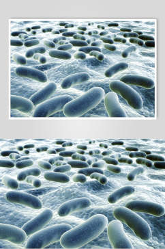 显微镜微生物分子图片