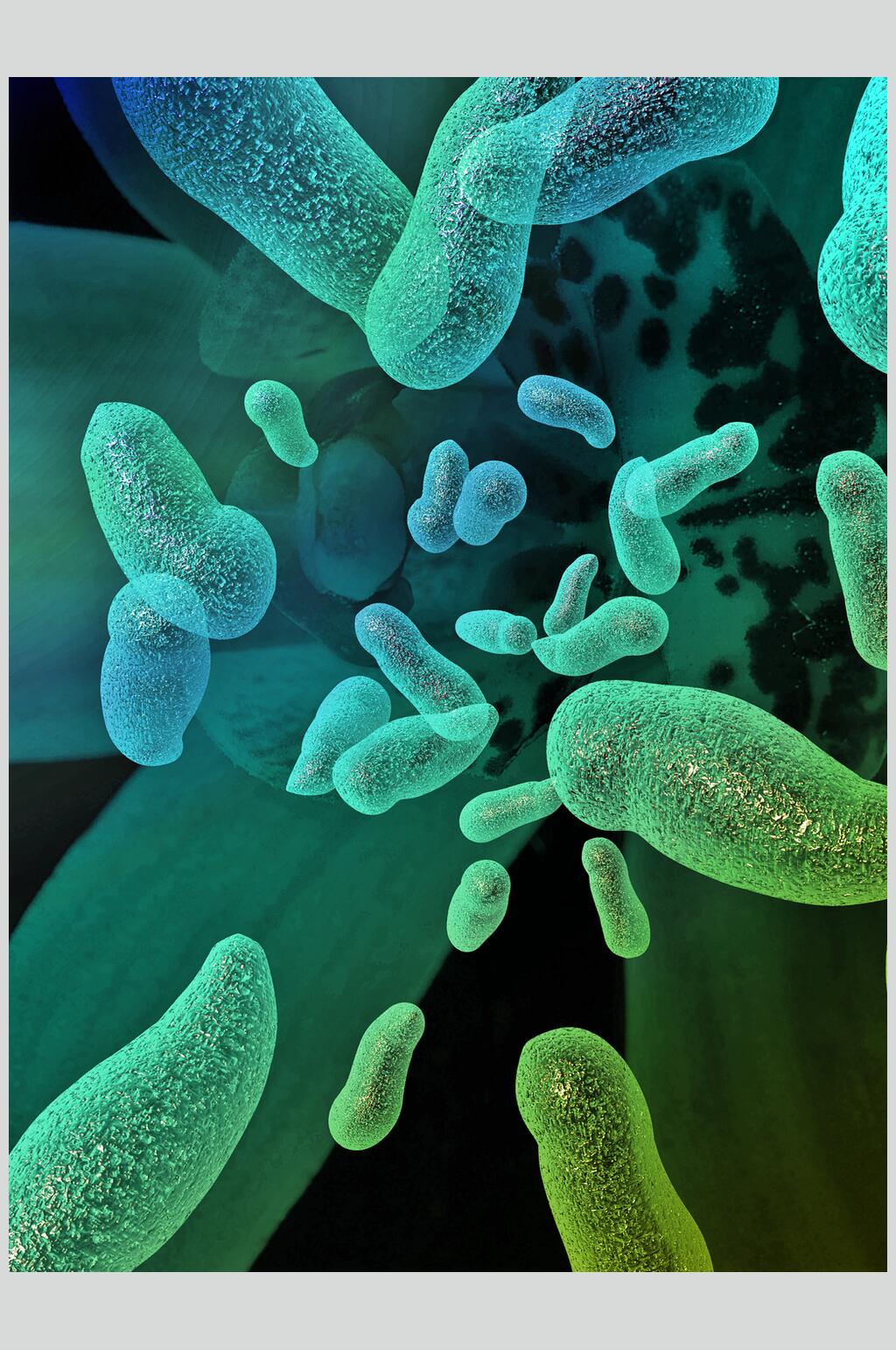 绿色渐变微生物分子图片素材