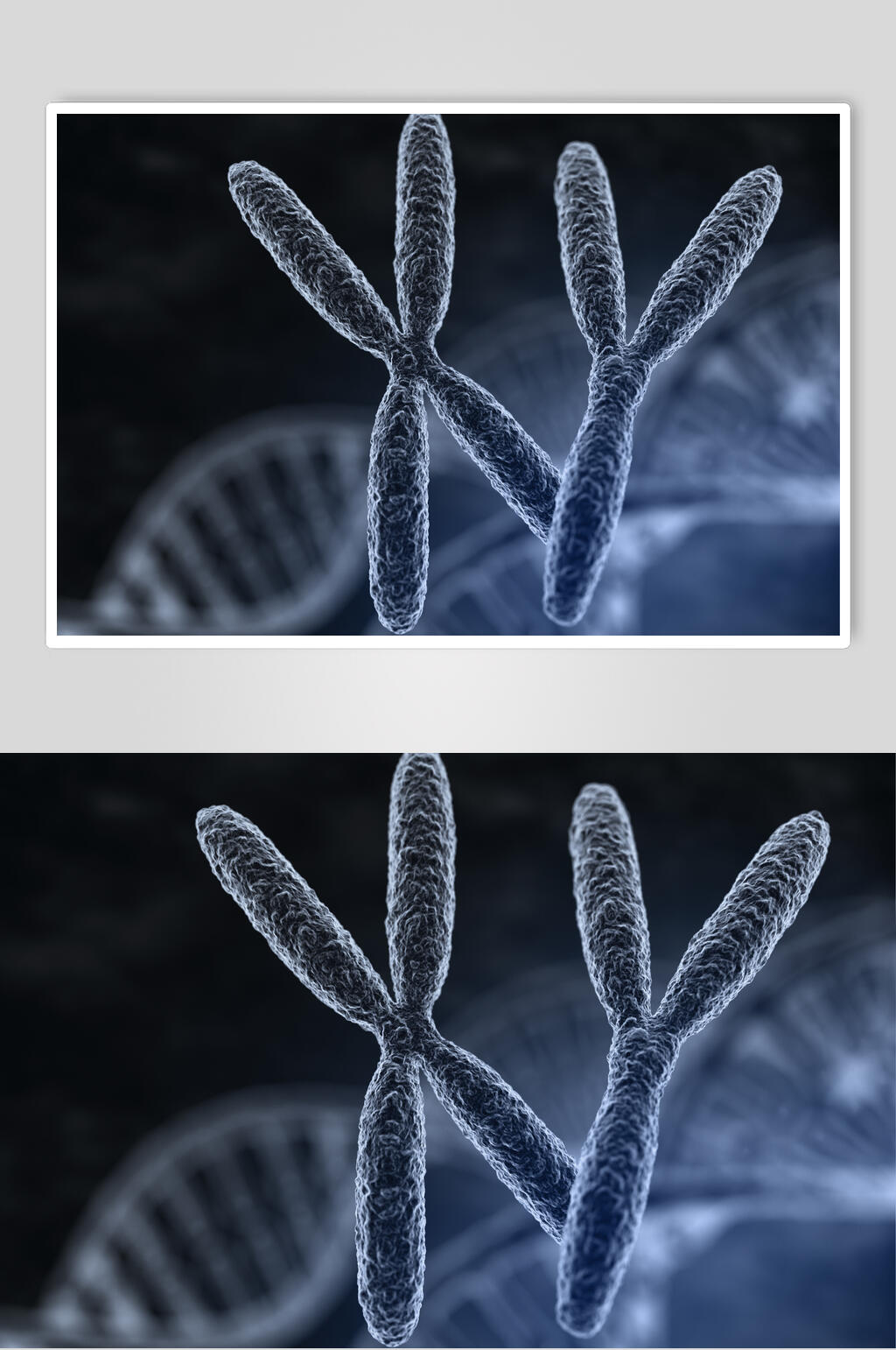 几何简约微生物分子图片素材
