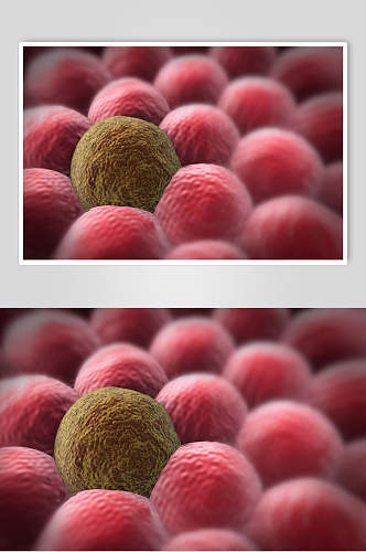 科技微生物分子图片