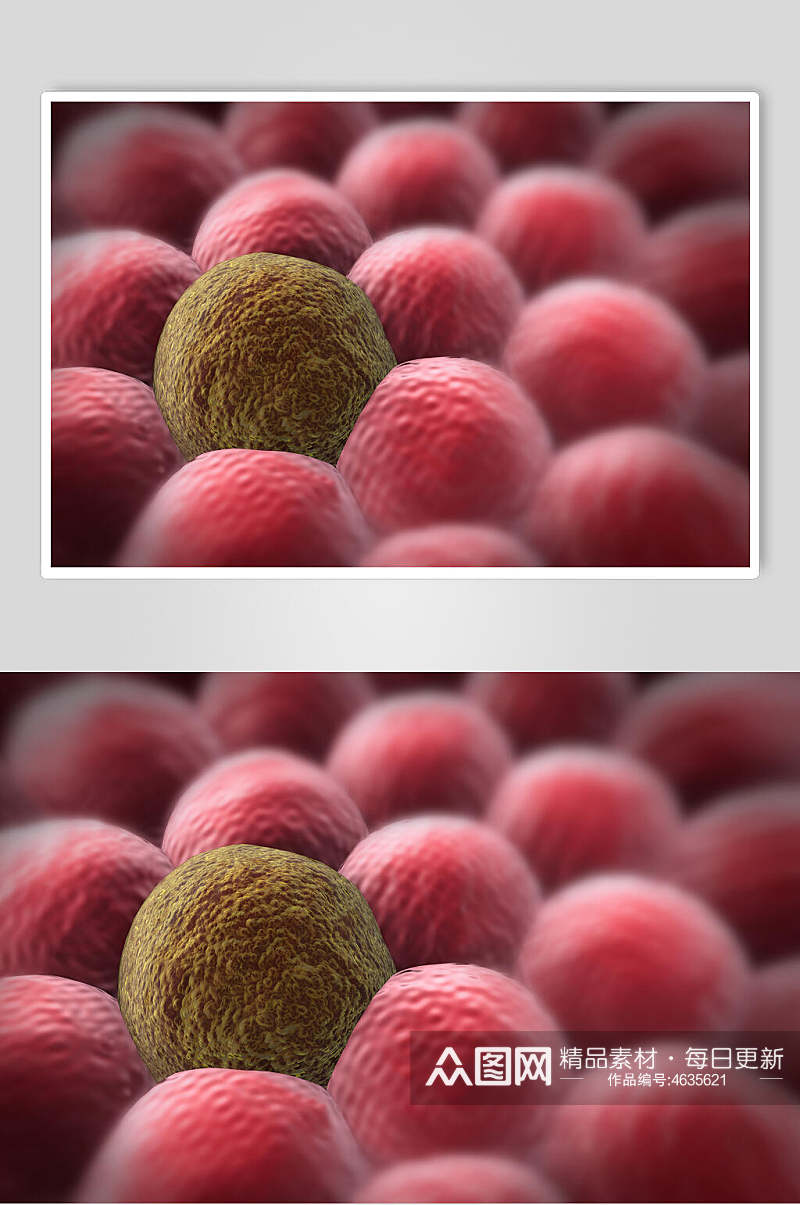 科技微生物分子图片素材