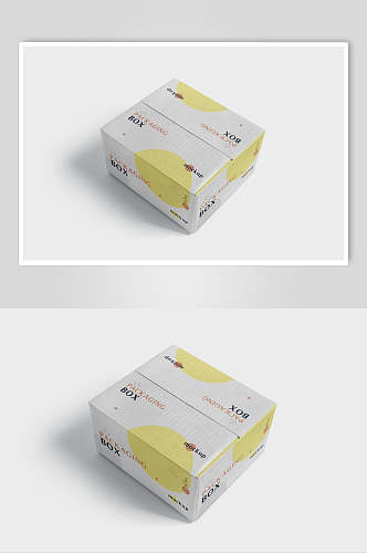 创意设计时尚纸箱包装贴图样机
