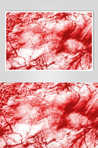 红色微生物分子图片
