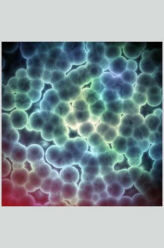 科学数据微生物分子图片