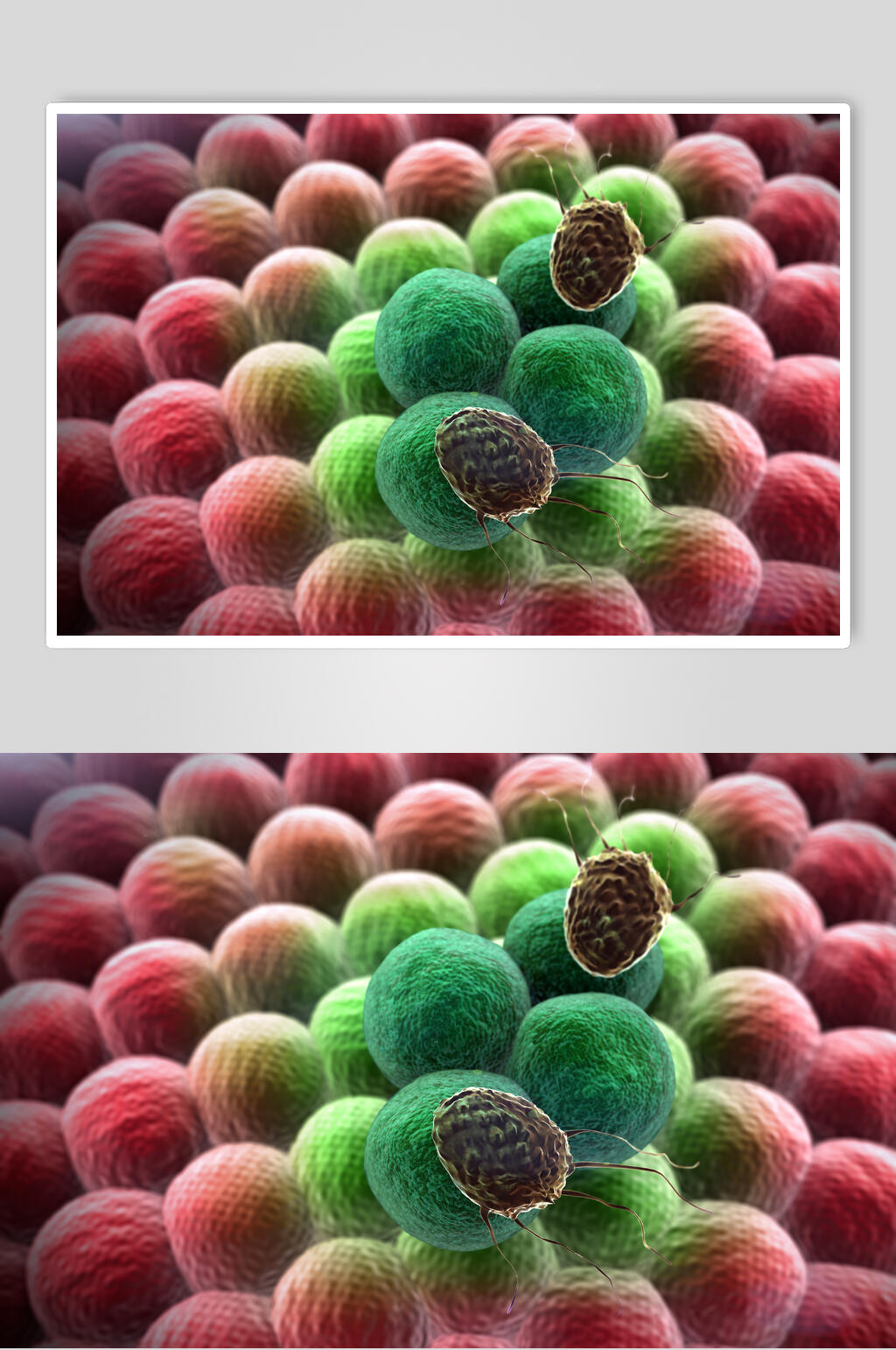 渐变微生物分子图片素材