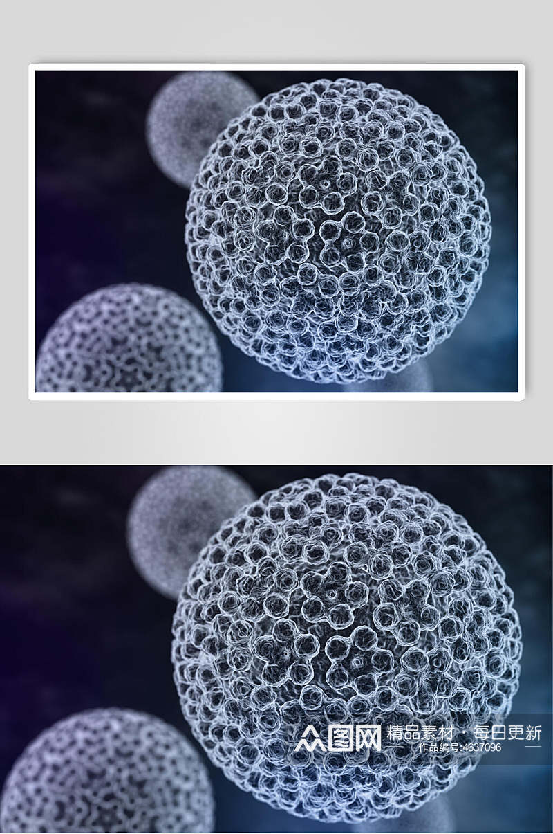 创意圆形微生物分子图片素材