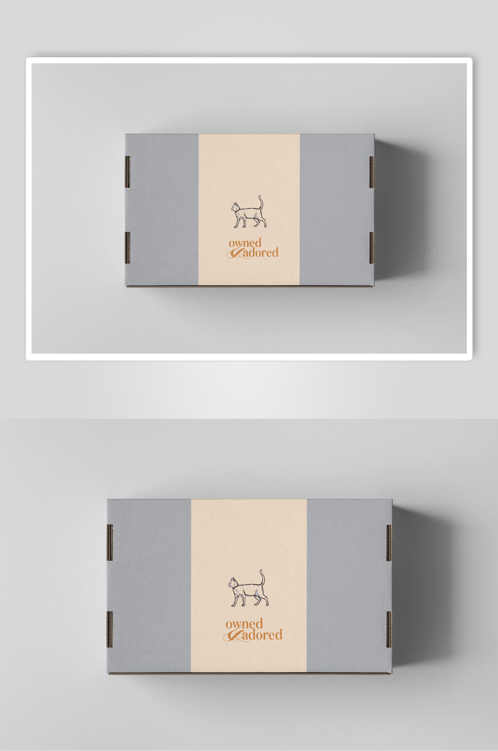 时尚宠物品牌VI样机效果图素材
