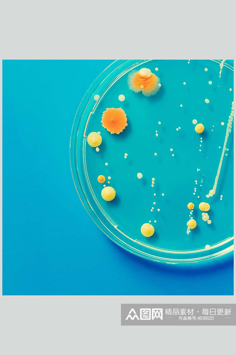黄色圆形微生物分子图片素材