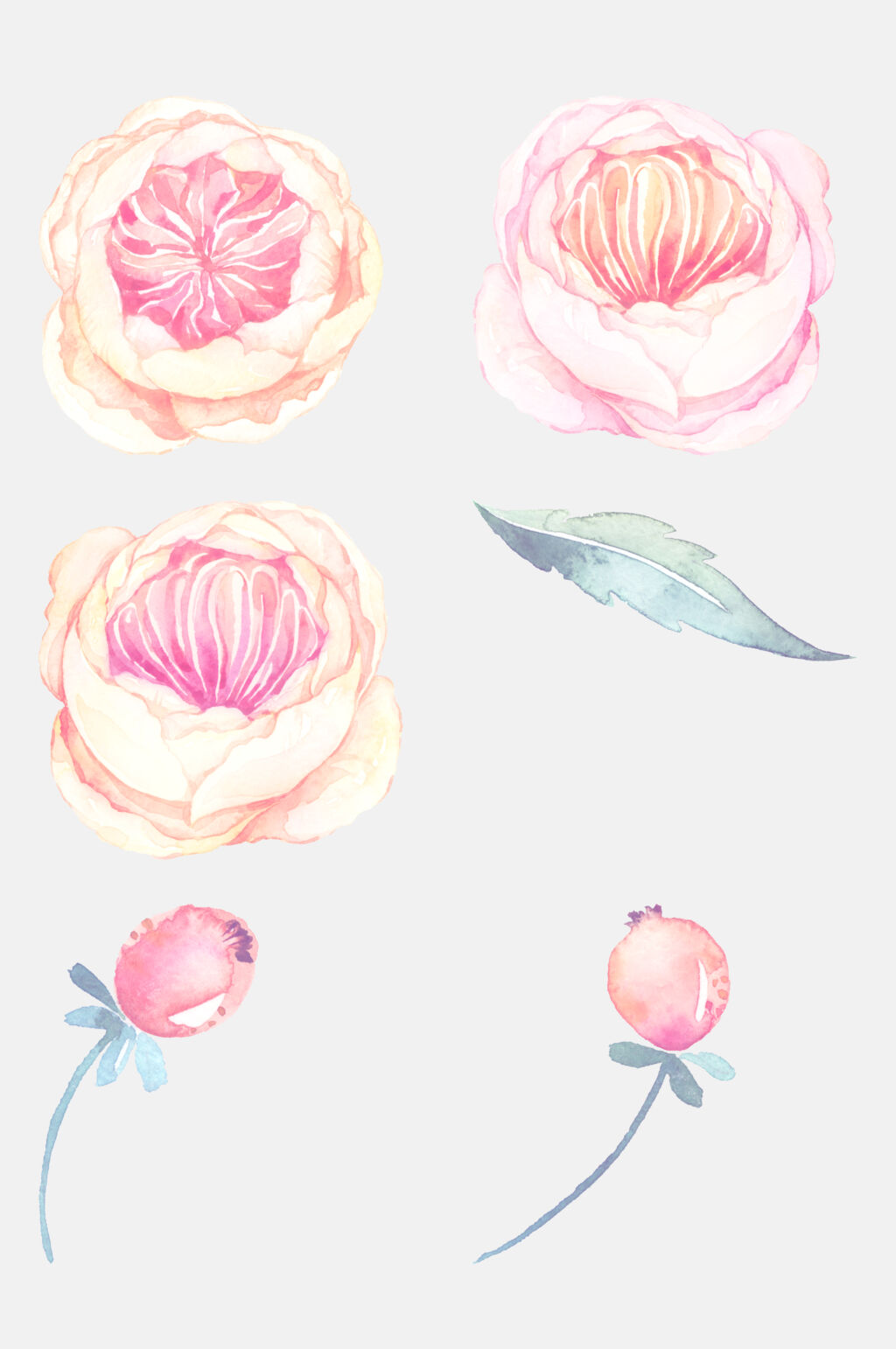 粉蓝色手绘花朵免抠素材素材