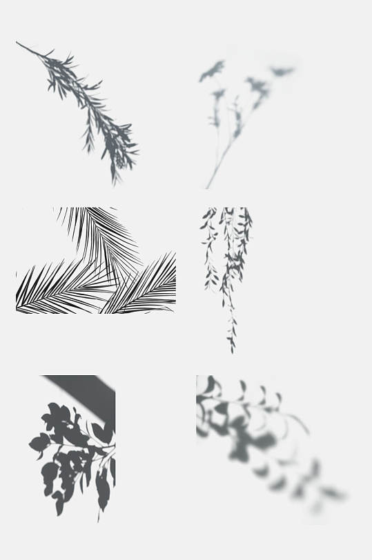 樹葉植物影子免摳設(shè)計素材