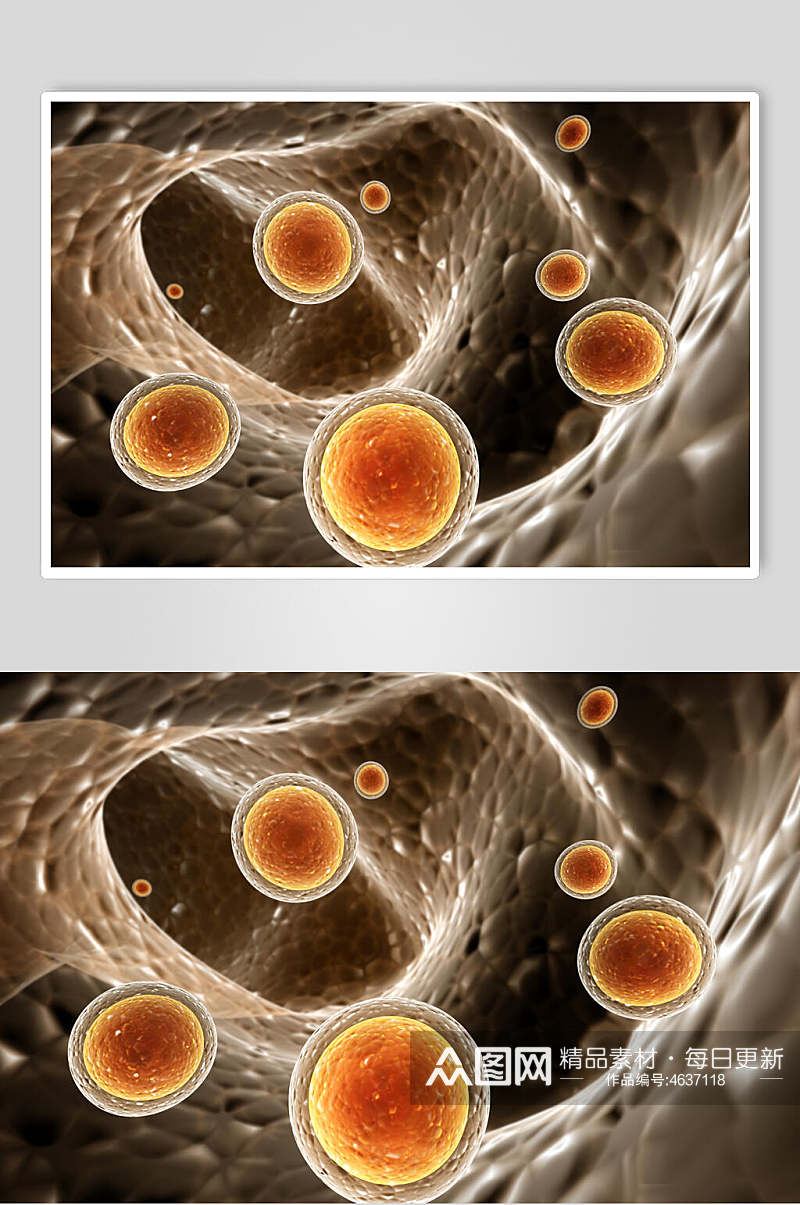 椭圆时尚微生物分子图片素材
