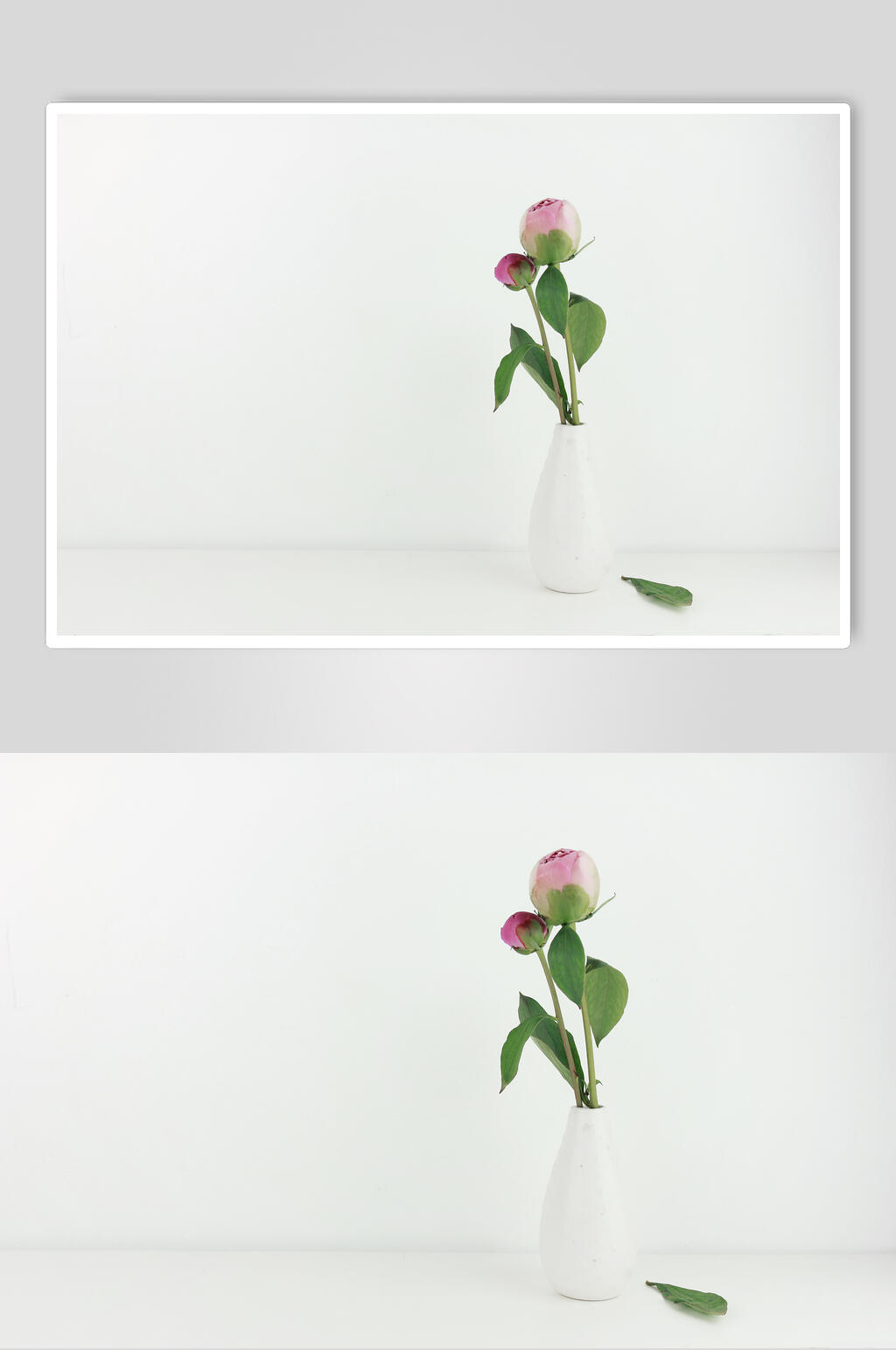 简约插花鲜花摄影图片素材