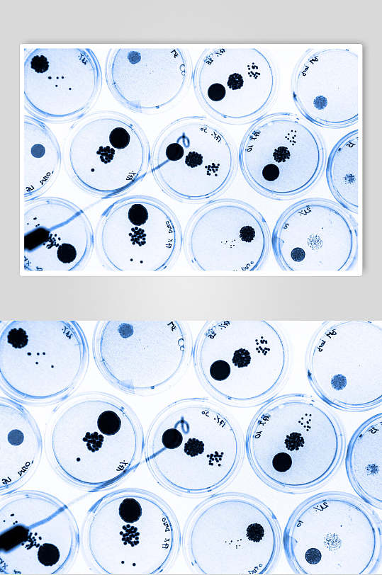 科技微生物分子图片