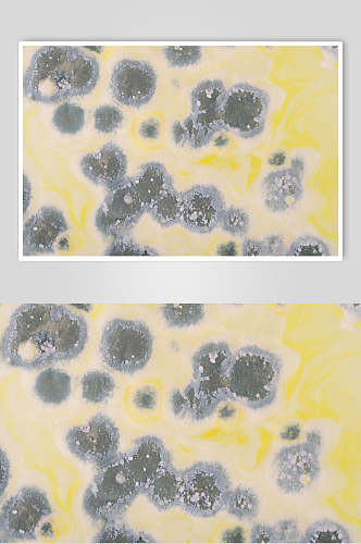 黄色背景微生物分子图片
