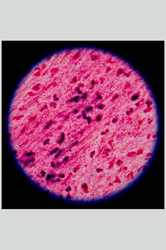 枚红色微生物分子图片