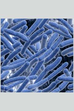 蓝色长条微生物分子图片
